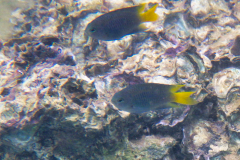 RIMG0673
