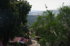 IMGP3217