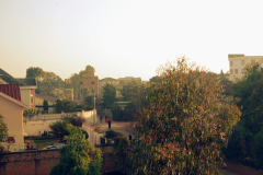 IMGP16342