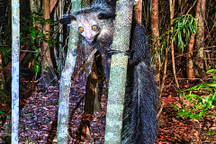 IMG_20250917_190033004_HDR