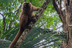 IMG_20250918_083327651_HDR