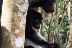 IMG_20250918_092419122_HDR