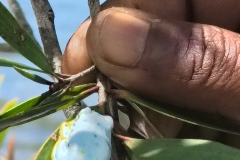 IMG_20250918_102053173_HDR