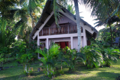 IMGP2451