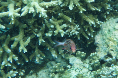 RIMG0357