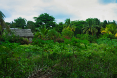IMGP2514