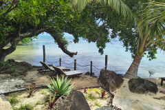 IMG_20250923_125655580_HDR