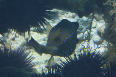 RIMG0409