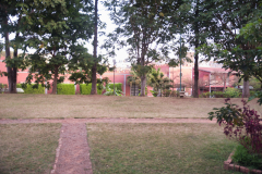IMGP2574