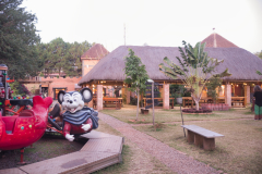 IMGP2576
