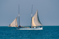 IMGP2671