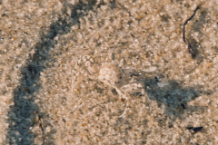 IMGP2681