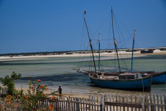 IMGP2739