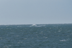 IMGP2748