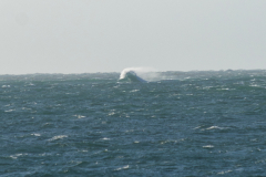 IMGP2767