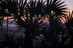 IMG_20250926_182952441_HDR