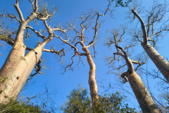 IMG_20250927_160845223_HDR