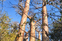 IMG_20250927_160932097_HDR