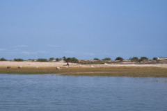 IMGP2897