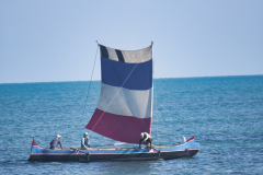 IMGP3107