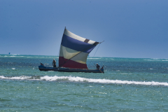 IMGP3117