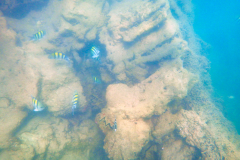 RIMG0636